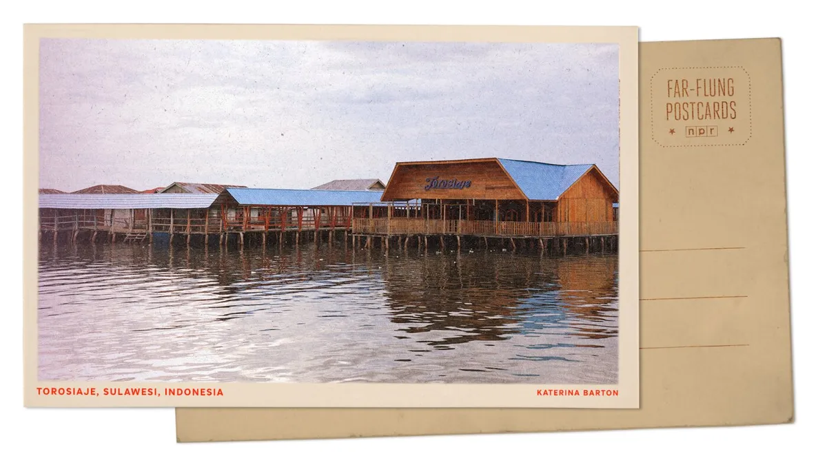 Greetings from a sea village in Indonesia, where Indigenous fishing gets help from mangroves