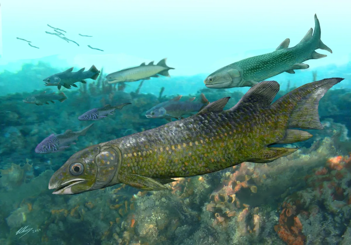 Ancient fish fossils reveal how our ancestors prepared to leave the ocean