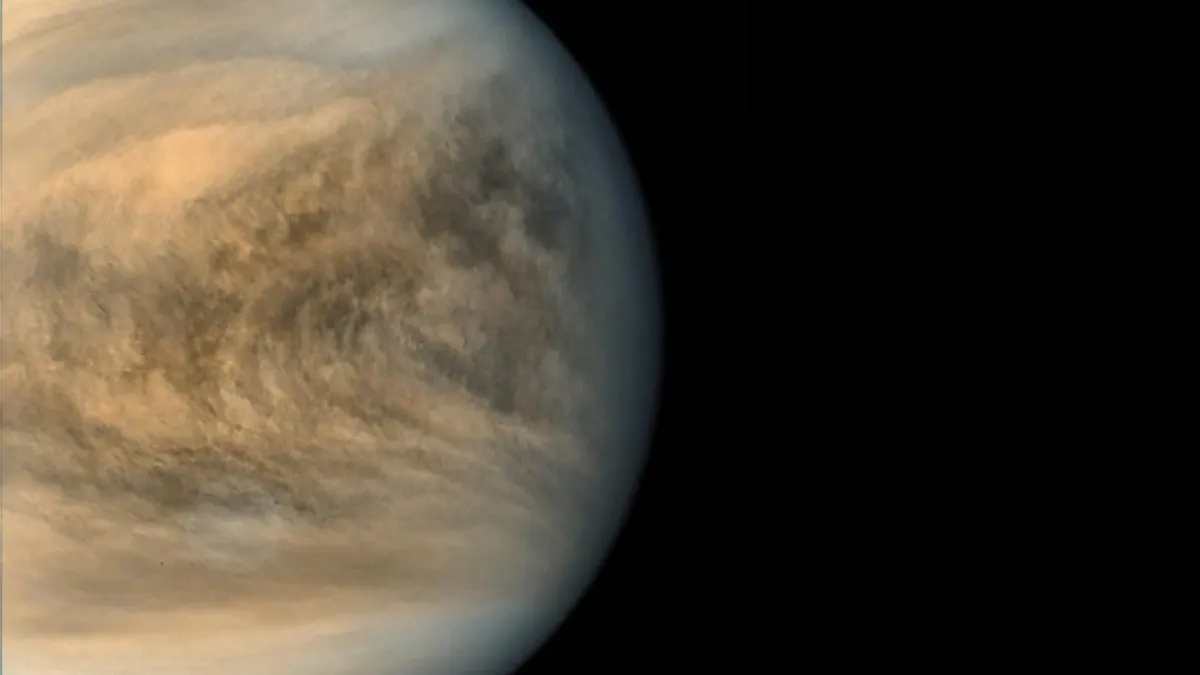 Venus's Pale Yellow Clouds Hide a Surprisingly Dark Secret