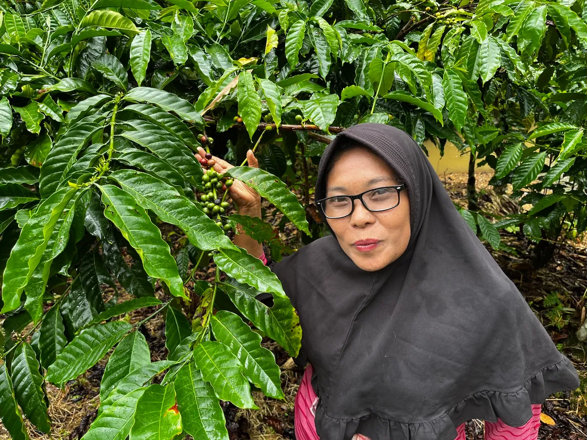 In Sumatra, social forestry links conservation with livelihoods