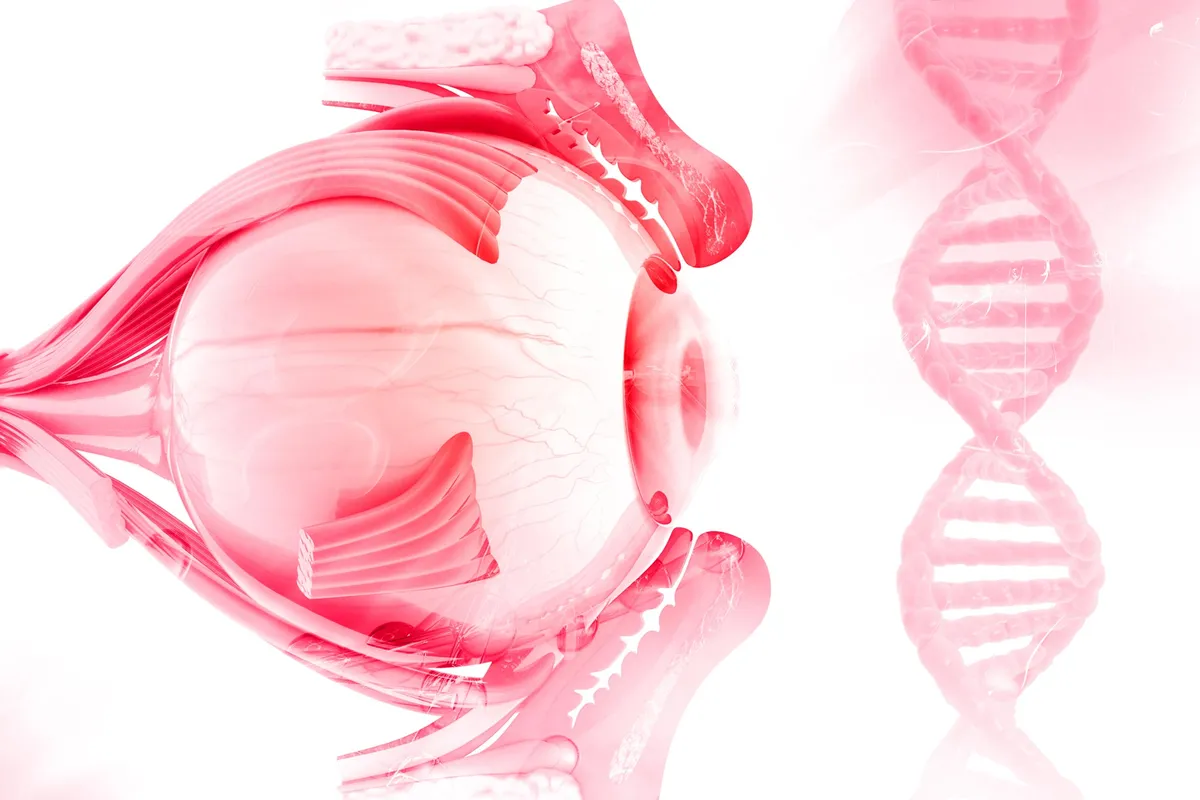 Humans Owe Their Eyes to a Tiny One-Eyed “Cyclops”