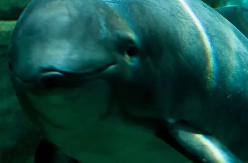 Can ecological collapse be undone? China is making a bold move on the Yangtze River.