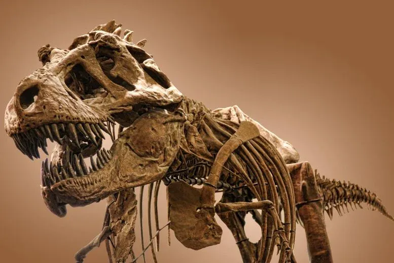 Did T. rex Leave These Mysterious Marks on Dinosaur Bones?