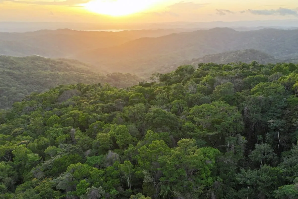 In Panama’s Darién, Indigenous communities test a new way to fund conservation
