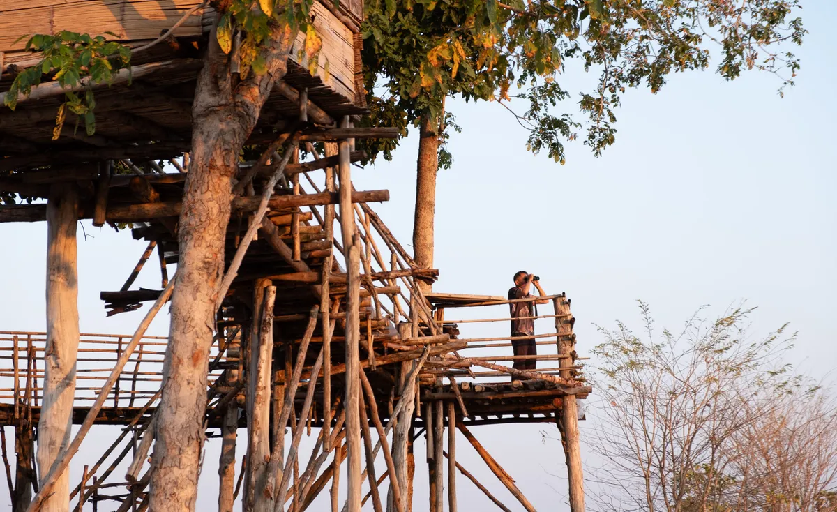 Article illustration