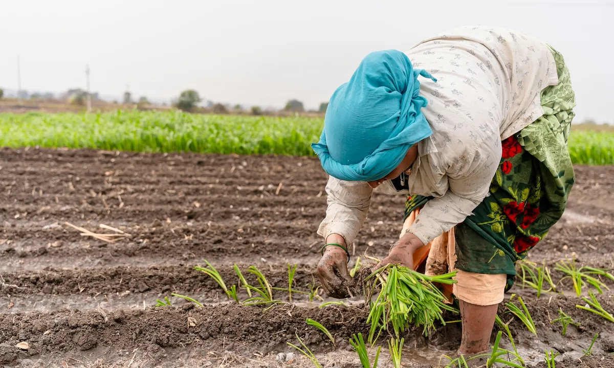 Indian women farmers gain climate insurance and clean energy training