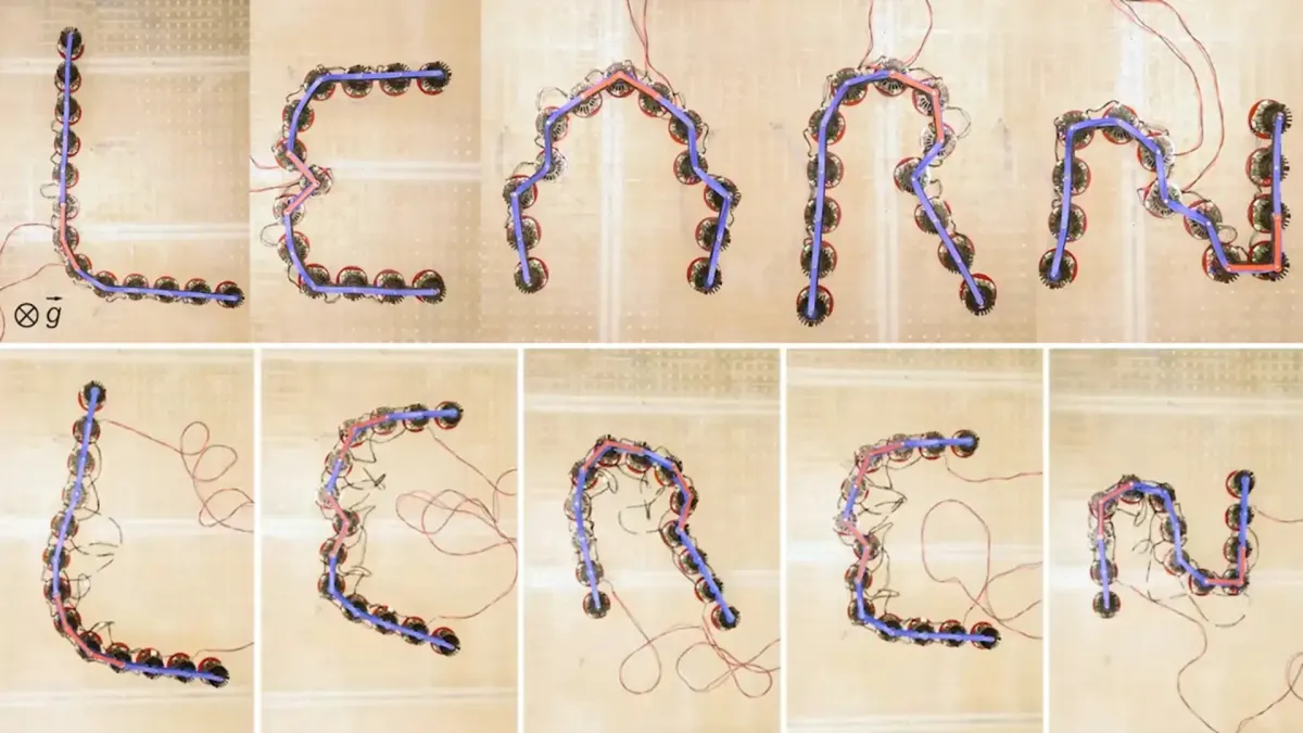 New metamaterials learn shapes, adapt behavior, and move like living systems