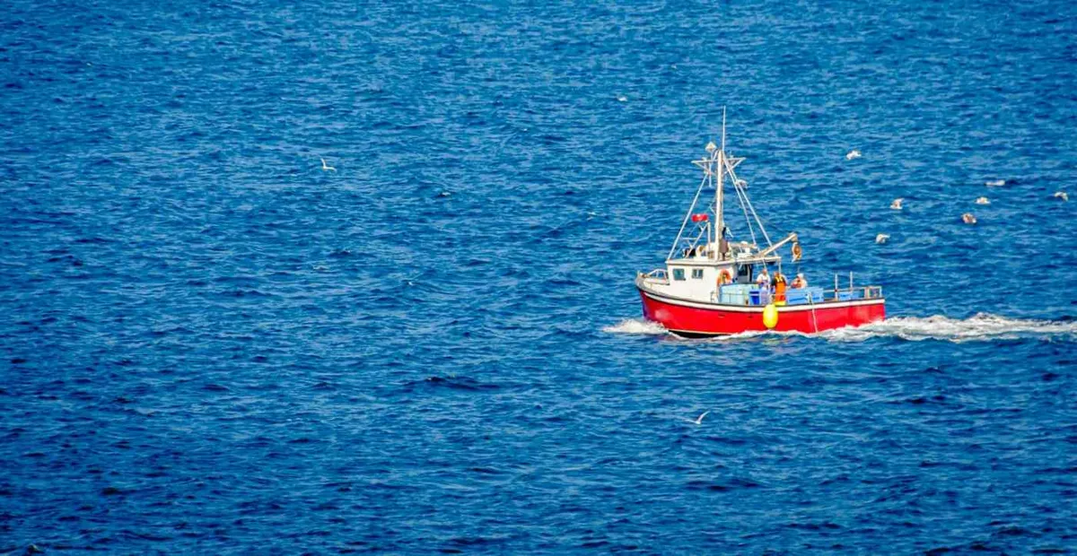 California rebuilt 90 fish stocks in 25 years with trawling ban