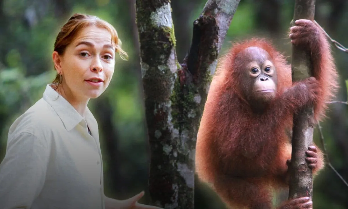 Article illustration