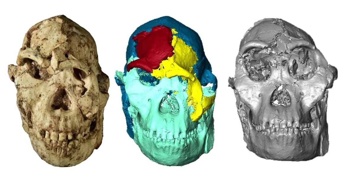Scientists reconstruct face of human ancestor from 3.67 million years ago