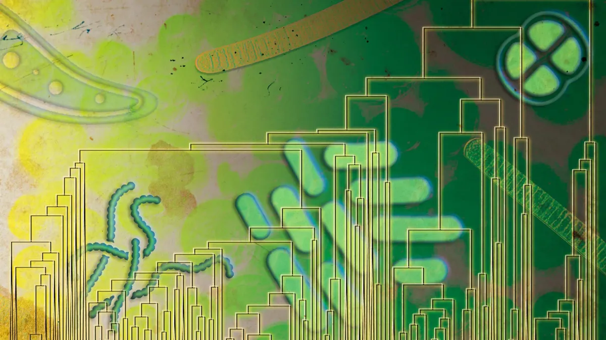 Microbes learned to breathe oxygen 500 million years early