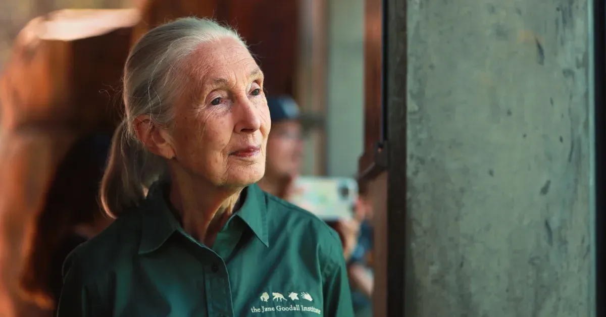 Jane Goodall's nonprofit calls on America to hit the trails in her honor this October