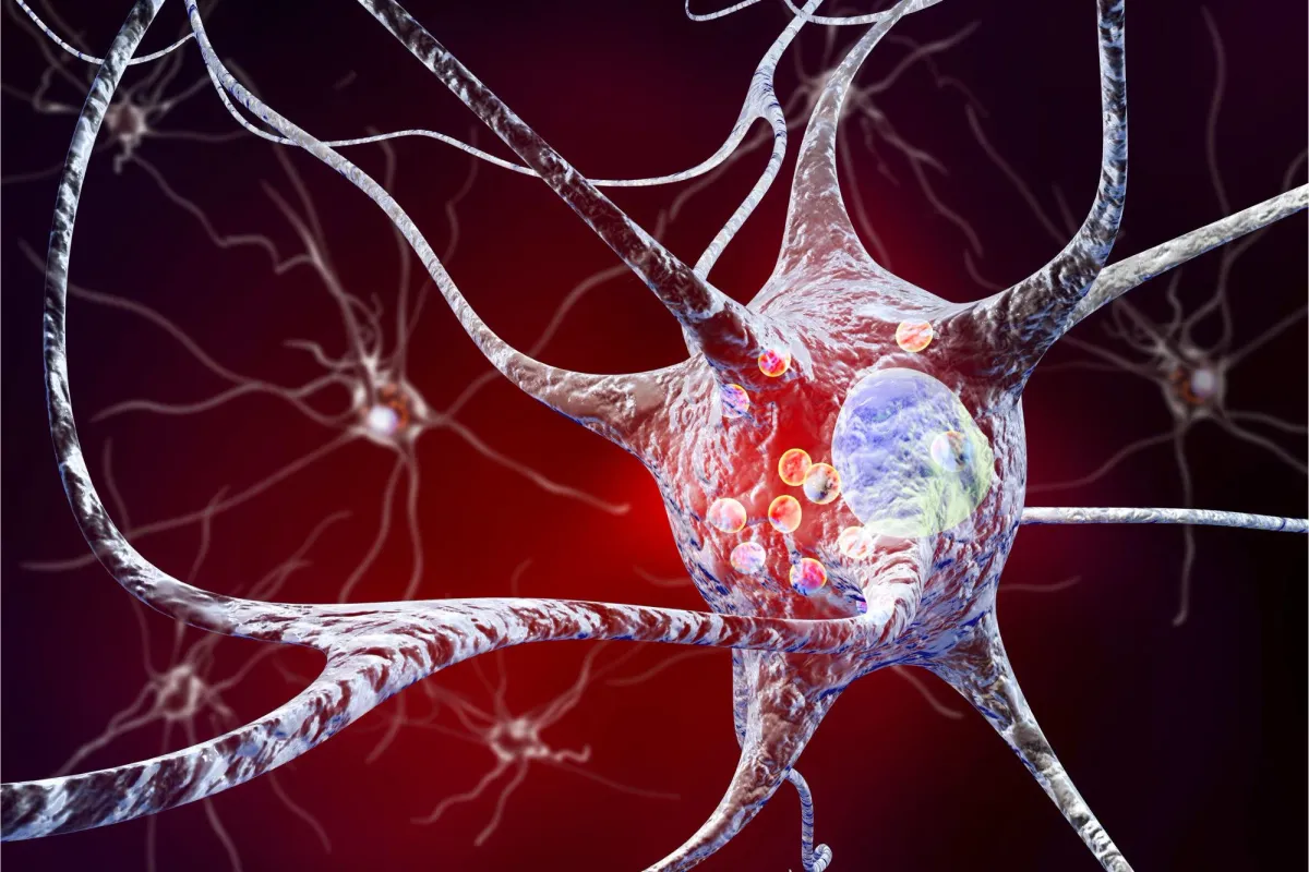 Scientists Discover Brain-Protecting Peptide That Could Change Parkinson’s Treatment