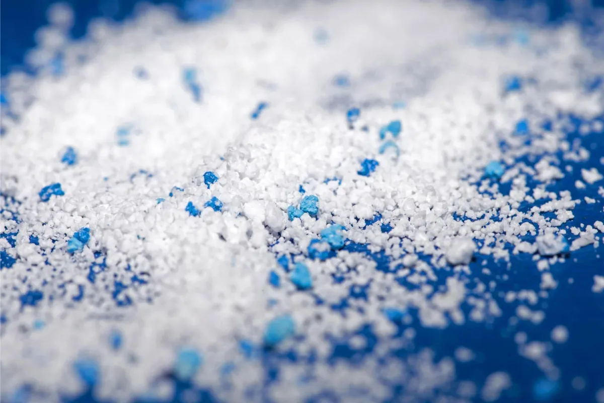 Even Antarctica Isn’t Safe: Microplastics Found Inside the Continent’s Only Insect