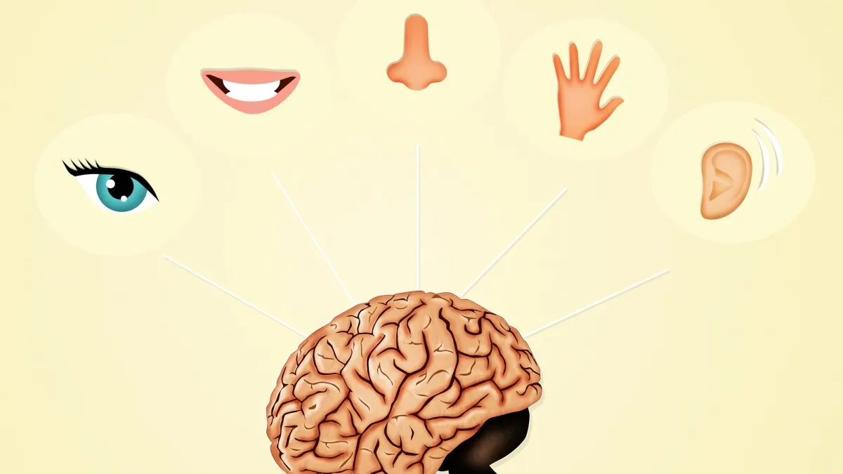 Smell Loss Sufferers Gain Surprising Sensory Superpower