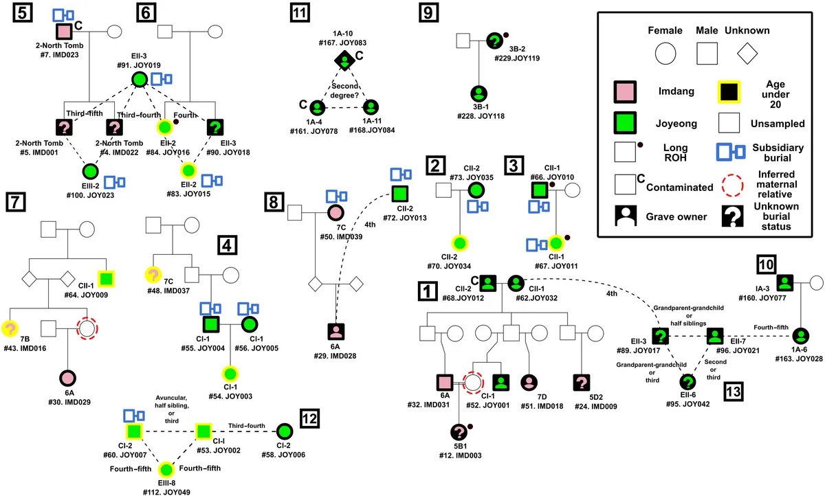 Ancient Korean DNA reveals marriages between closely related individuals