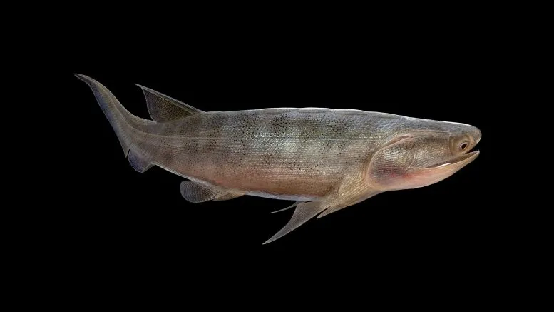 Eosteus Chongqingensis