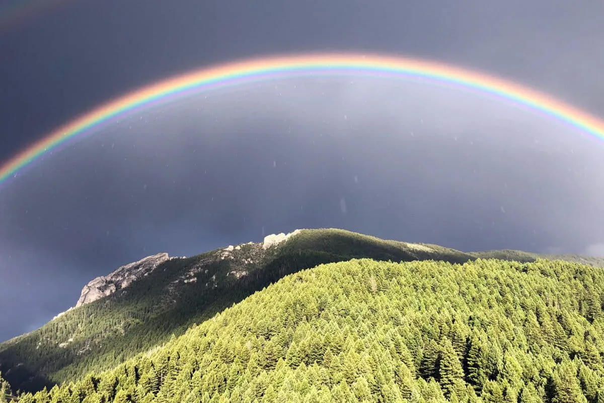 How one ecologist learned to think in landscapes, not islands