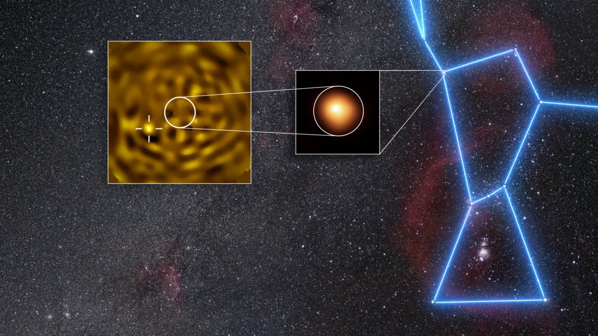 “I jumped from my chair” – Astronomers spot Betelgeuse’s hidden companion