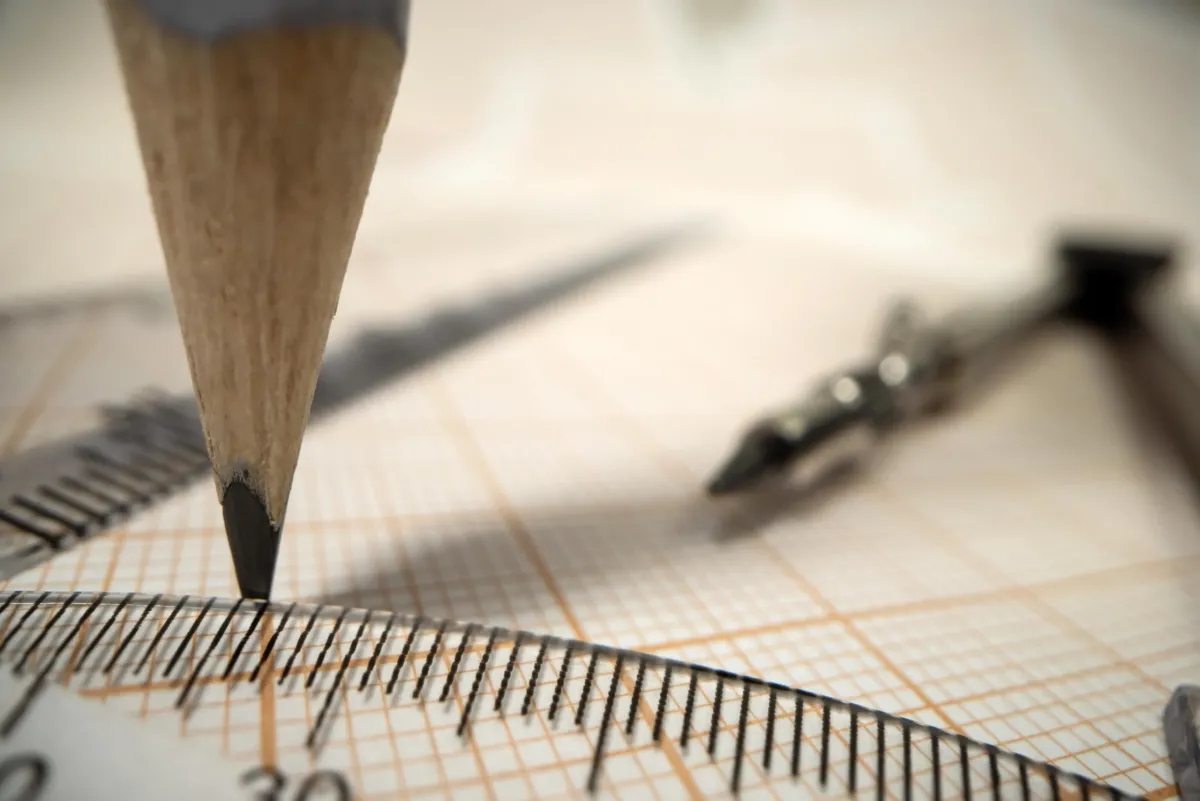 New Research Challenges the Idea That Geometry Is Uniquely Human