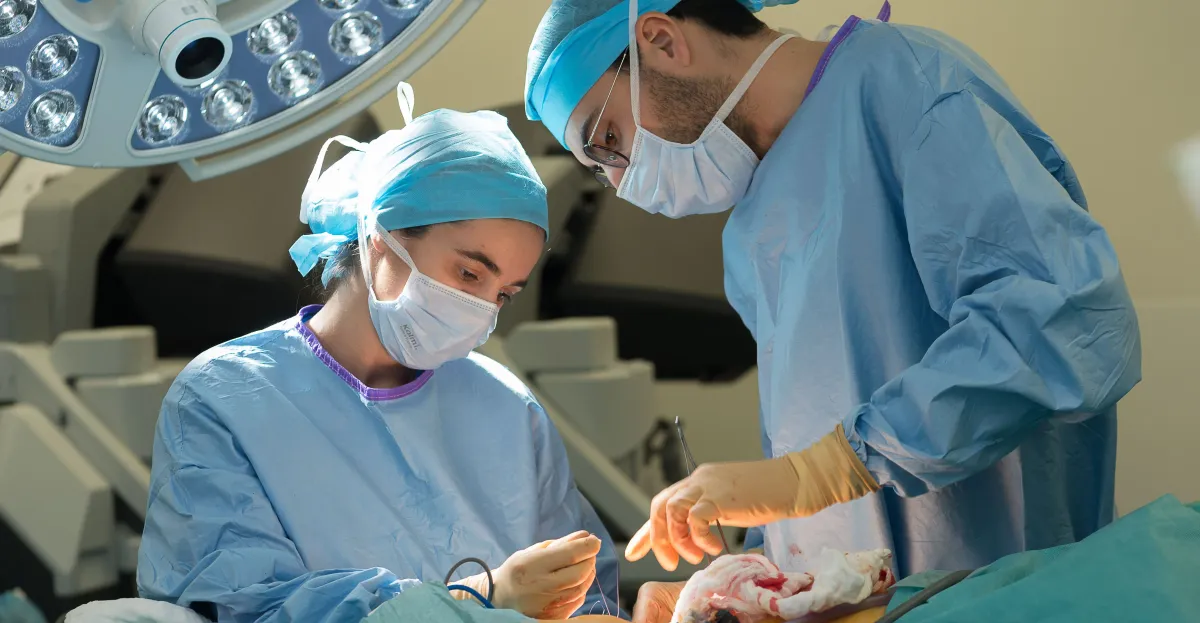 The Organ That Grows Back Could Save Thousands. So Why Don't We Use It More?