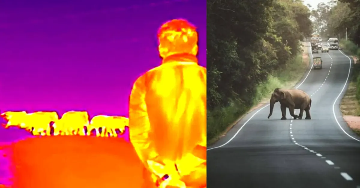 Article illustration