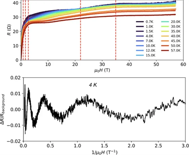 Topological Insulator Resistance and Quantum Oscillations