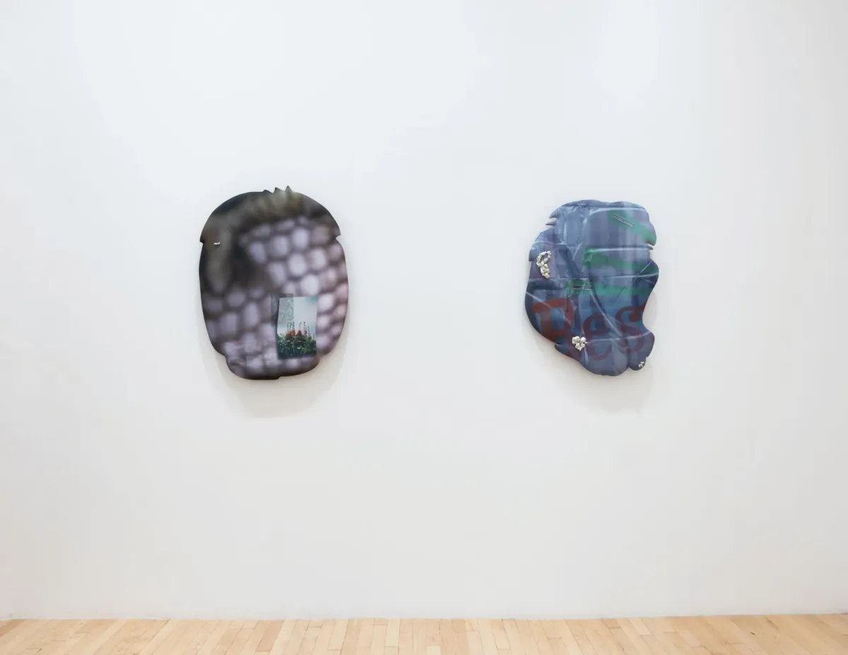 How Former Fashion Designer Emma Safir Turns Fabric into Beguiling Paintings