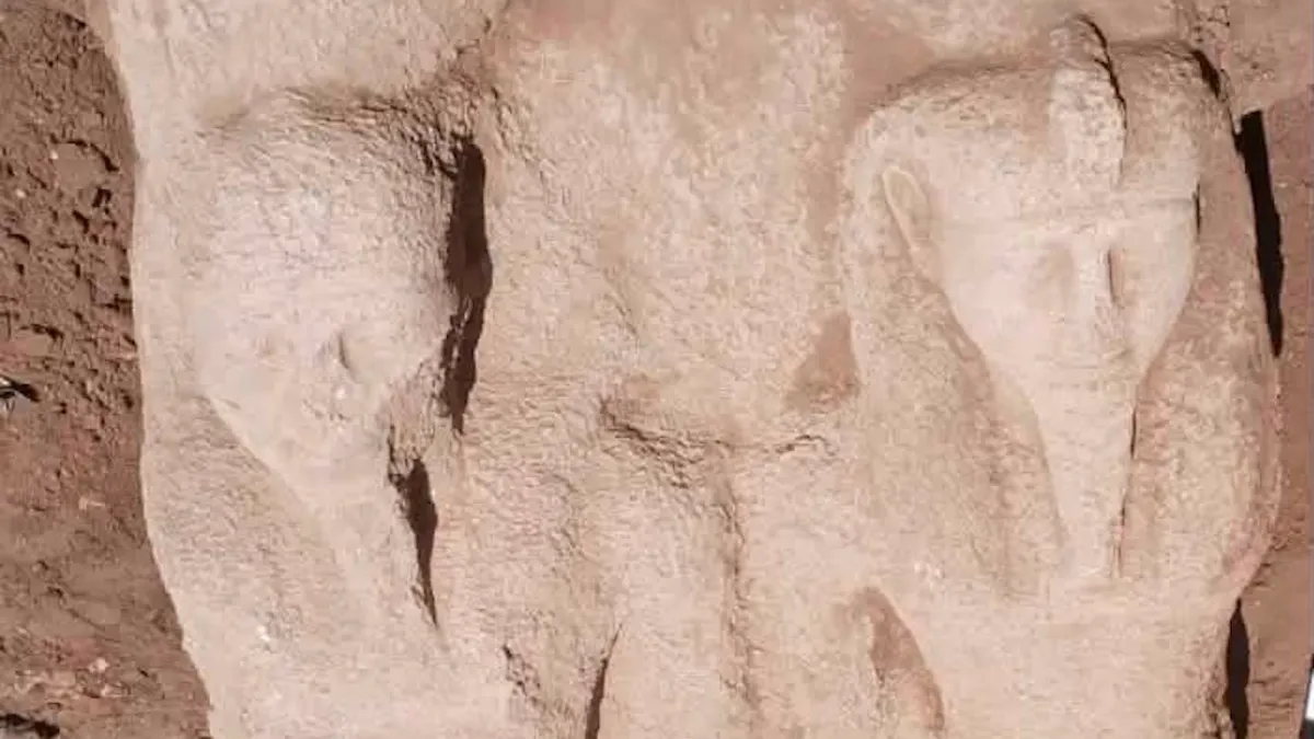 Article illustration