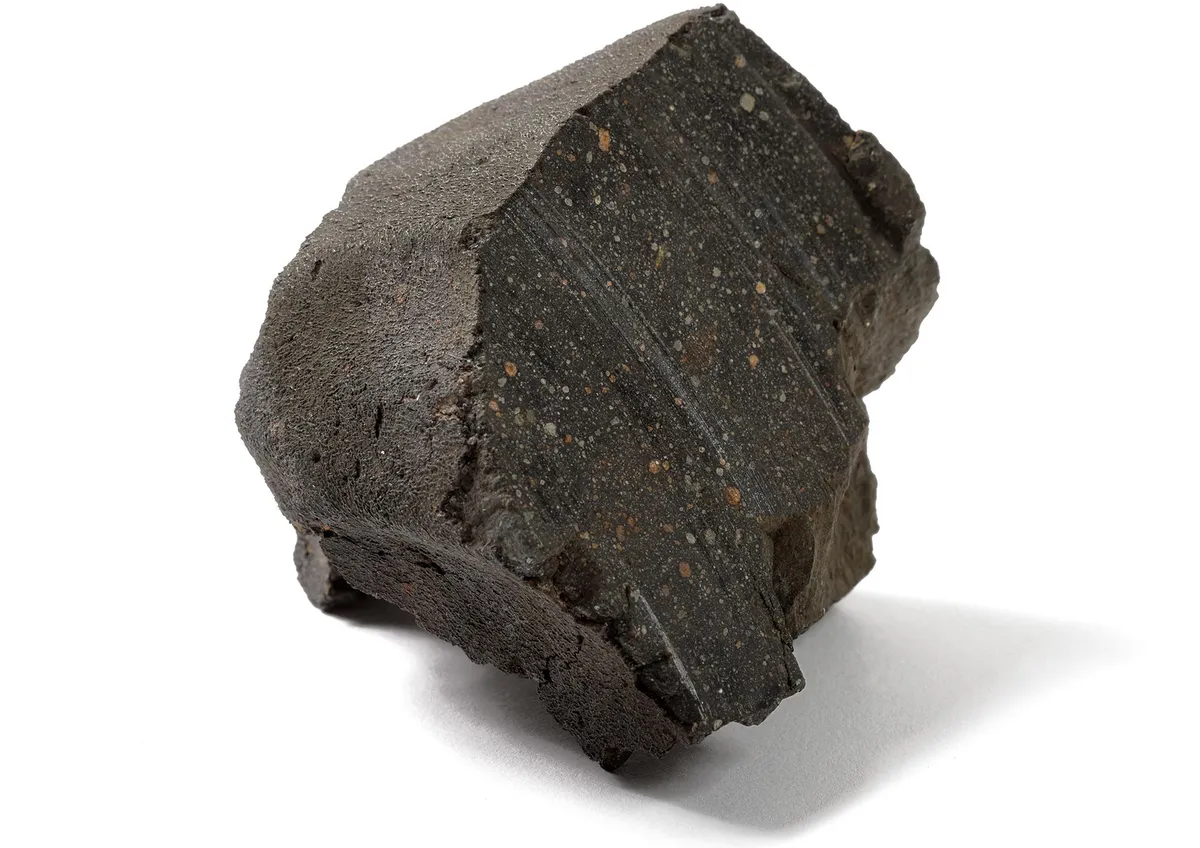 A Surprising Meteorite Discovery Could Change the Hunt for Life on Mars