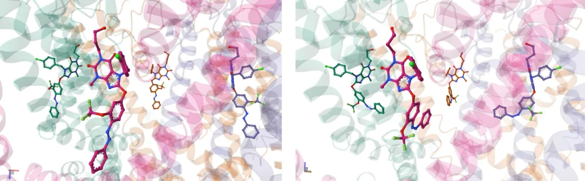 Light-controlled switches offer precise regulation of ion channels in living cells