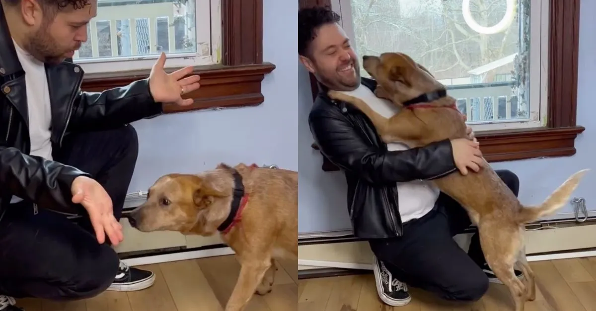 NYC magician uses tricks (and treats) to help shelter dogs get adopted