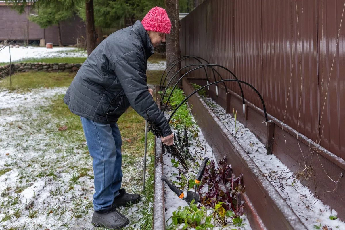 5 smart ways to prep your garden now for a stunning spring bloom
