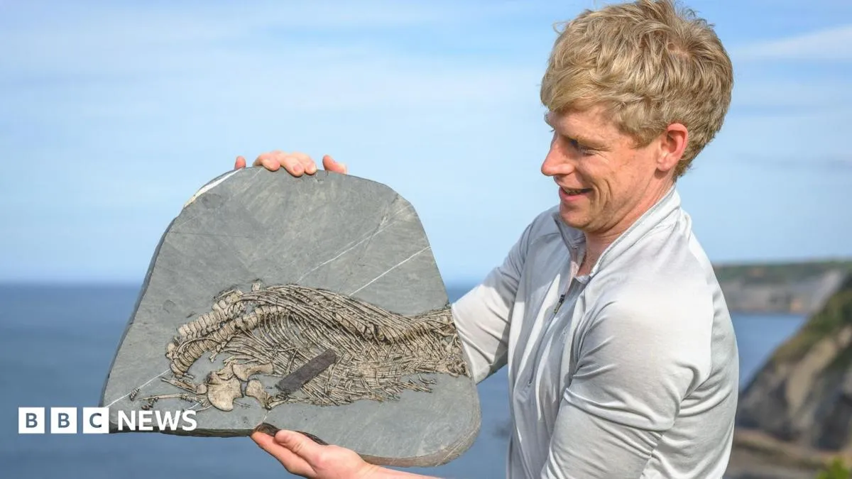 Fossil hunter discovers rare 'sea dragon' at Lavernock Point 