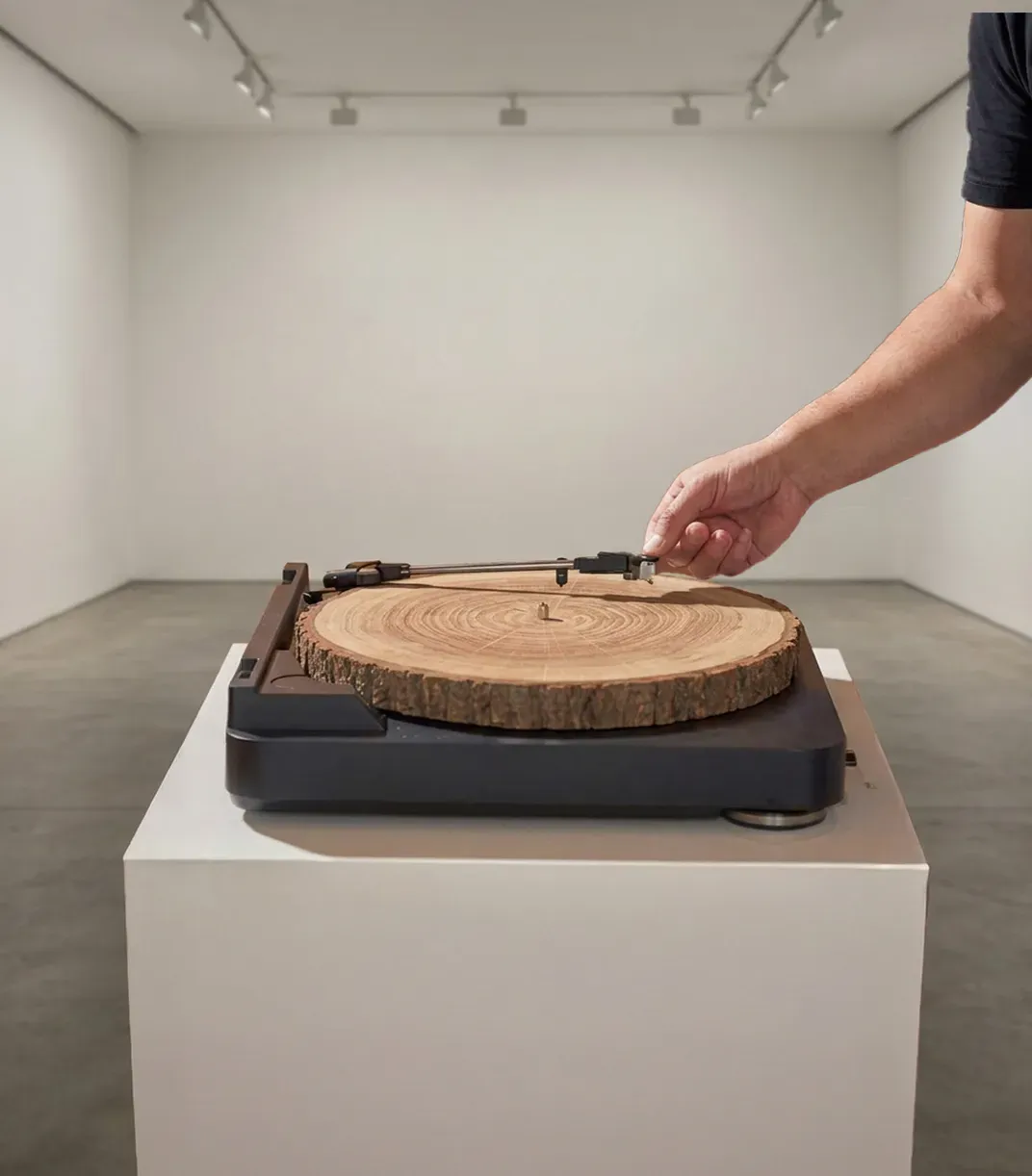 How Do You Honor a Fallen Tree? In England, a Sound Sculpture Will Broadcast the ‘Voice’ of a Beloved Sycamore Felled Near Hadrian’s Wall