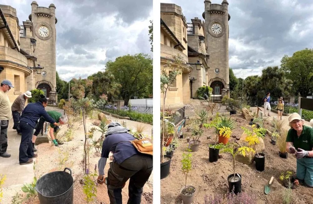 Volunteers planting in a xerophytic garden