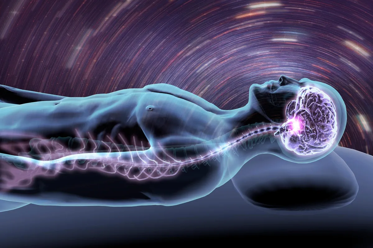 Your Brain Might Not Need Full Sleep to Recharge. Just a Quick Nap.