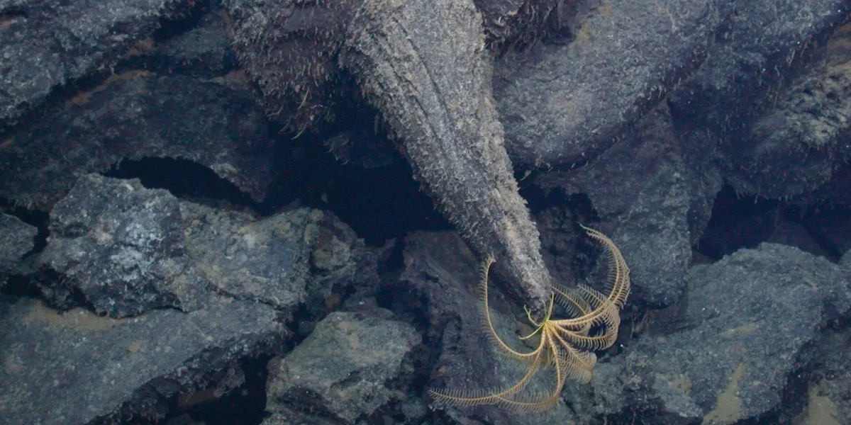 Under an Ocean Volcano, Scientists Found Lava Fields the Size of Manhattan