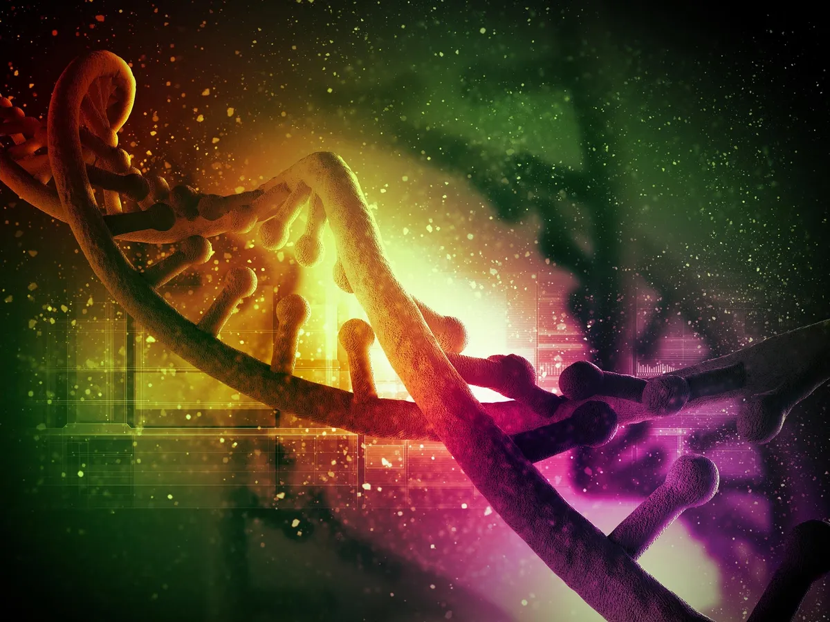 Evolution Has Been Using the Same Genetic “Cheat Sheet” for 120 Million Years