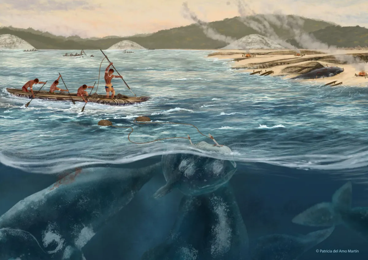 Ancient Whale Hunters of Brazil Challenge Long-Held Scientific Assumptions