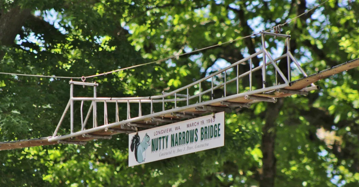 About 40M squirrels are killed by drivers each year. So this city created the world's first-ever 'squirrel bridge'