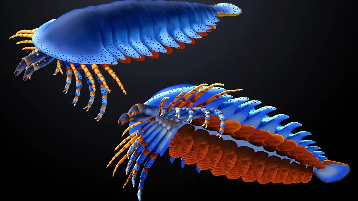 A 500-Million-Year-Old Spider Relative Just Rewrote History