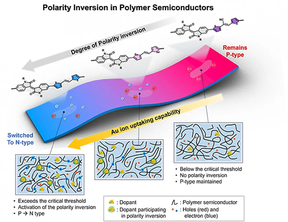 Scientists Cracked a Polymer Mystery: Why Some Flip Their Electrical Identity