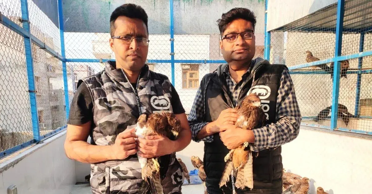 Meet the Delhi Brothers Who Rescued 23000+ Birds Entangled in Kite Strings