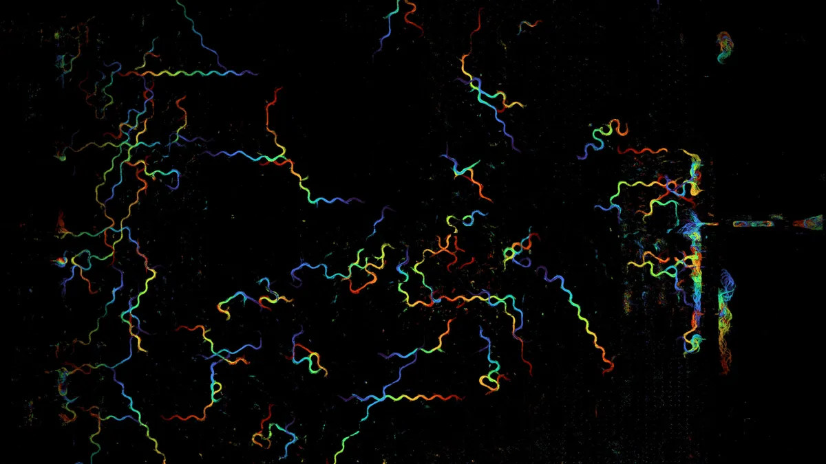 Bringing it all into focus - Berkeley Engineering
