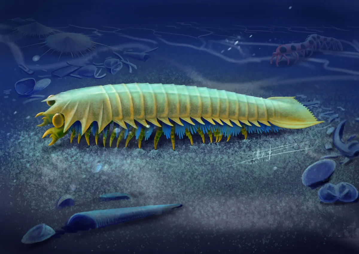 This 518-Million-Year-Old Creature Reveals How Spiders Got Their Bite