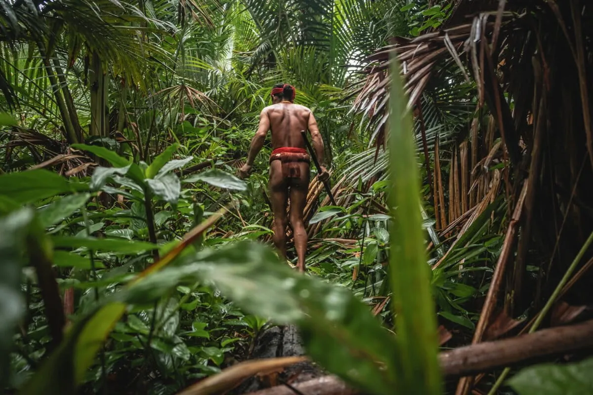 How religious beliefs may help protect Mentawai’s forests