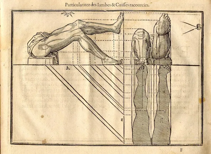 An example of early data-gathering about the body: engravings from a 1608 French book, Livre de Pourtraiture, illustrating human anatomy for artists.