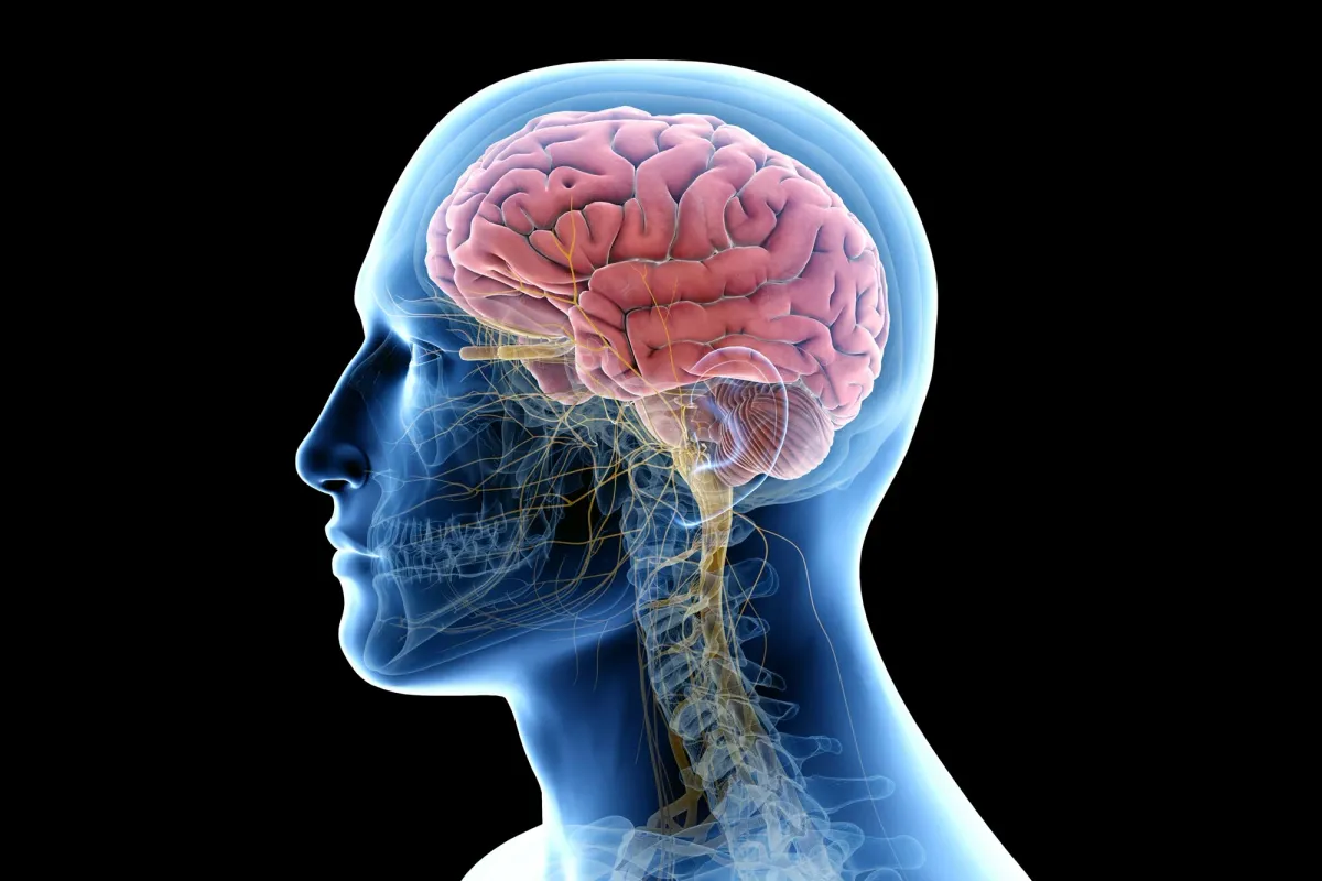 Scientists Discover Surprising Similarities Between Freud’s Ideas and Modern Neuroscience
