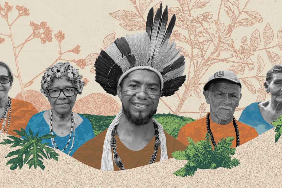 She Remembered When Forests Were Medicine. Her Knowledge Lives On.